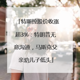 特斯拉股价收涨超3%：特朗普无意沟通，马斯克父亲劝儿子低头