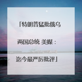 特朗普猛批俄乌两国总统 美媒：迄今最严厉批评