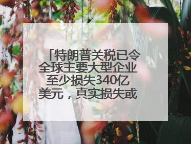特朗普关税已令全球主要大型企业至少损失340亿美元，真实损失或高致数倍