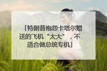 特朗普抱怨卡塔尔赠送的飞机“太大”，不适合做总统专机