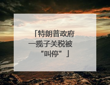 特朗普政府一揽子关税被“叫停”