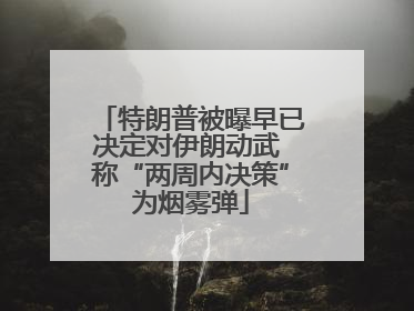 特朗普被曝早已决定对伊朗动武 称“两周内决策”为烟雾弹