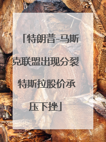 特朗普-马斯克联盟出现分裂 特斯拉股价承压下挫