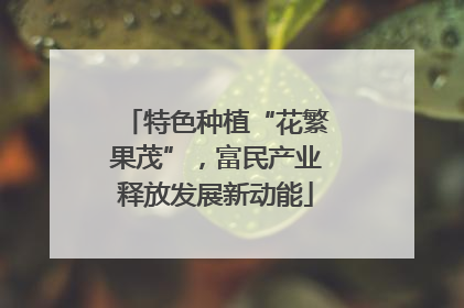 特色种植“花繁果茂”，富民产业释放发展新动能