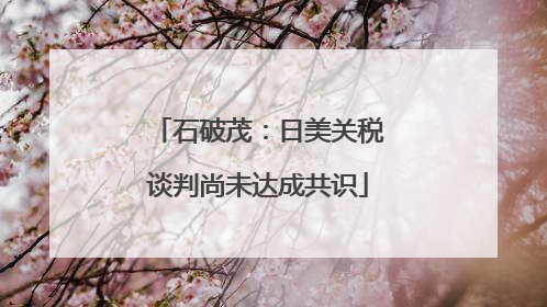 石破茂：日美关税谈判尚未达成共识