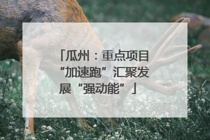 瓜州：重点项目“加速跑”汇聚发展“强动能”