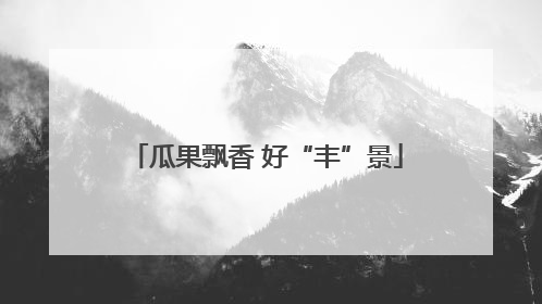 瓜果飘香 好“丰”景