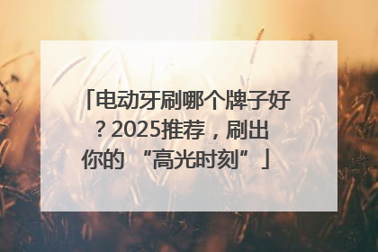 电动牙刷哪个牌子好？2025推荐，刷出你的 “高光时刻”