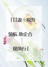 甘肃：税务领航 助企合规前行