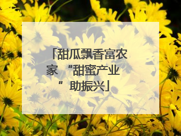 甜瓜飘香富农家 “甜蜜产业”助振兴