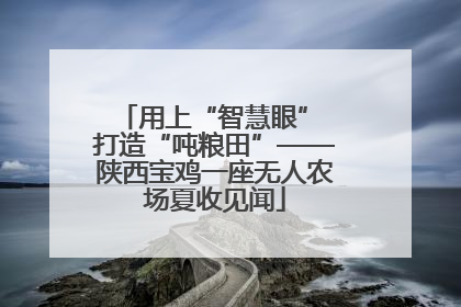 用上“智慧眼” 打造“吨粮田”——陕西宝鸡一座无人农场夏收见闻