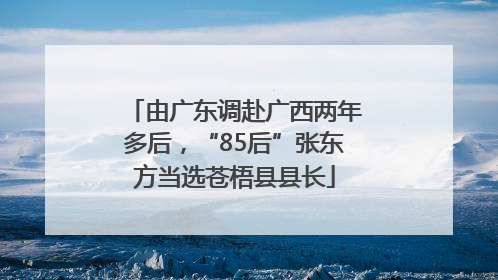 由广东调赴广西两年多后，“85后”张东方当选苍梧县县长