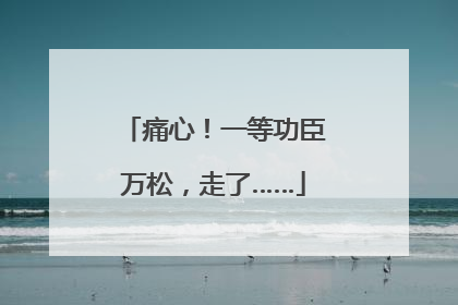 痛心！一等功臣万松，走了……