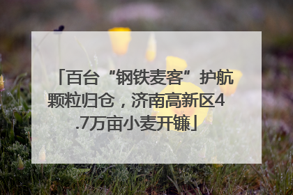 百台“钢铁麦客”护航颗粒归仓，济南高新区4.7万亩小麦开镰