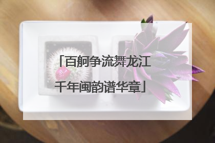百舸争流舞龙江 千年闽韵谱华章