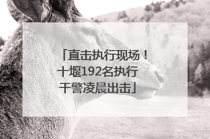 直击执行现场！十堰192名执行干警凌晨出击