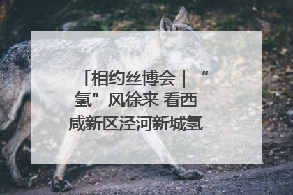 相约丝博会｜“氢”风徐来 看西咸新区泾河新城氢能产业聚链成势