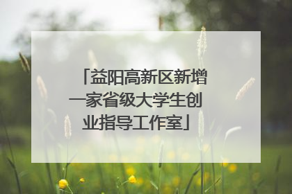 益阳高新区新增一家省级大学生创业指导工作室