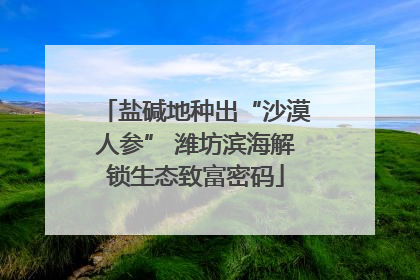 盐碱地种出“沙漠人参” 潍坊滨海解锁生态致富密码
