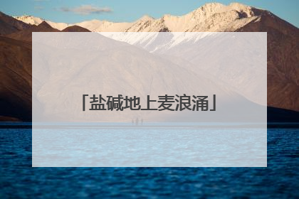 盐碱地上麦浪涌