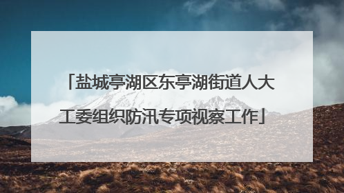 盐城亭湖区东亭湖街道人大工委组织防汛专项视察工作