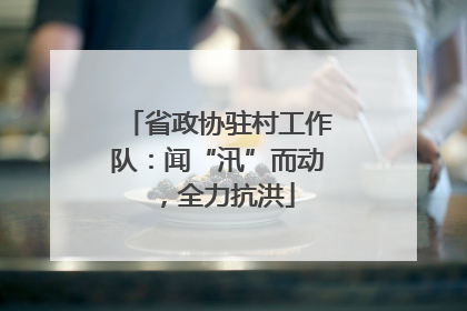 省政协驻村工作队：闻“汛”而动，全力抗洪