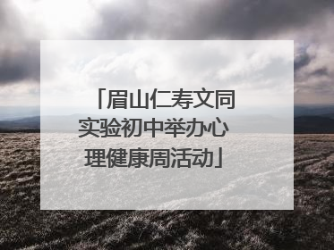 眉山仁寿文同实验初中举办心理健康周活动