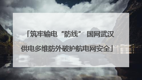 筑牢输电“防线” 国网武汉供电多维防外破护航电网安全