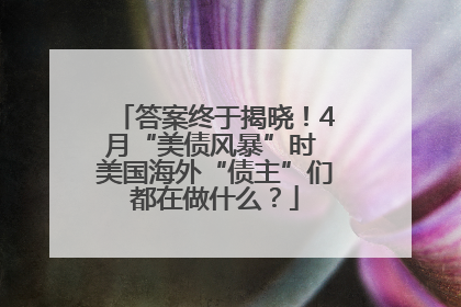 答案终于揭晓！4月“美债风暴”时 美国海外“债主”们都在做什么？