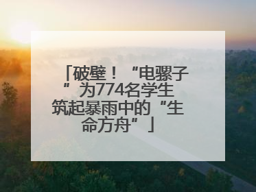 破壁！“电骡子”为774名学生筑起暴雨中的“生命方舟”