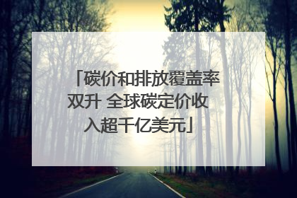 碳价和排放覆盖率双升 全球碳定价收入超千亿美元