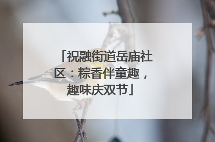 祝融街道岳庙社区：粽香伴童趣，趣味庆双节