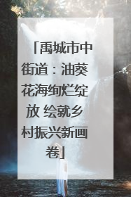 禹城市中街道：油葵花海绚烂绽放 绘就乡村振兴新画卷