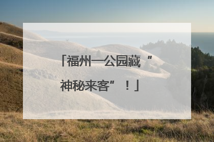 福州一公园藏“神秘来客”！