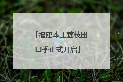 福建本土荔枝出口季正式开启