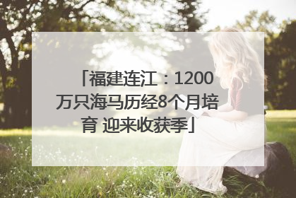 福建连江：1200万只海马历经8个月培育 迎来收获季