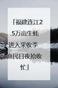 福建连江2.5万亩生蚝进入采收季 渔民日夜抢收忙