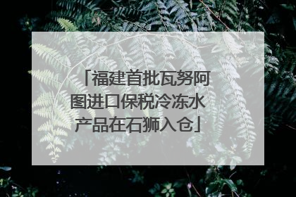 福建首批瓦努阿图进口保税冷冻水产品在石狮入仓