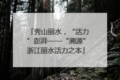 秀山丽水，“活力”澎湃——“溯源”浙江丽水活力之本