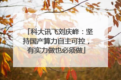 科大讯飞刘庆峰：坚持国产算力自主可控，有实力做也必须做