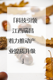 科技引领 江西瑞昌着力推动产业提质升级