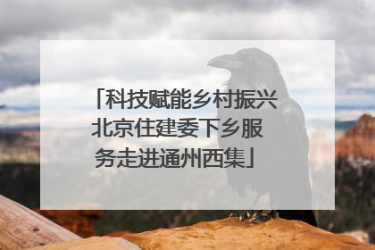 科技赋能乡村振兴 北京住建委下乡服务走进通州西集