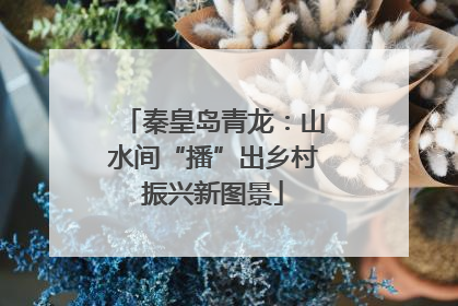 秦皇岛青龙：山水间“播”出乡村振兴新图景