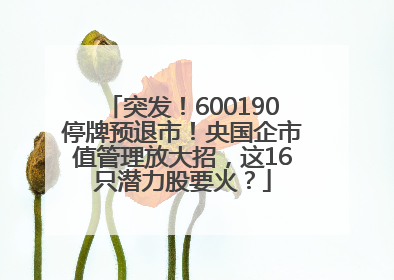 突发！600190停牌预退市！央国企市值管理放大招，这16只潜力股要火？
