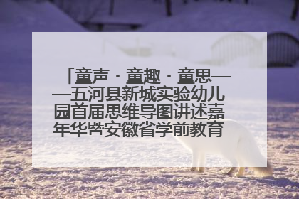 童声・童趣・童思——五河县新城实验幼儿园首届思维导图讲述嘉年华暨安徽省学前教育教研基地园项目阶段性成果展示活动