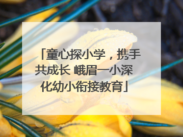童心探小学，携手共成长 峨眉一小深化幼小衔接教育