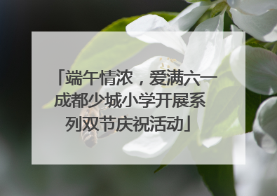端午情浓，爱满六一 成都少城小学开展系列双节庆祝活动
