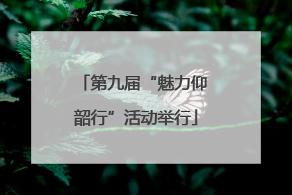 第九届“魅力仰韶行”活动举行