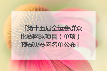 第十五届全运会群众比赛网球项目（单项）预赛决赛圈名单公布