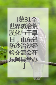 第31个世界防治荒漠化与干旱日，山东省防沙治沙经验交流会在东阿县举办